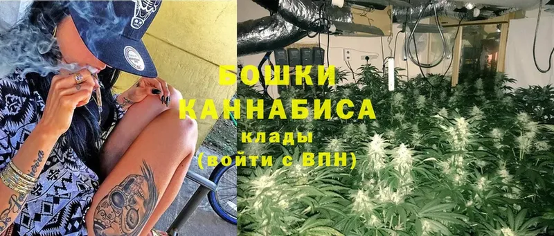 купить наркотик  Волхов  Марихуана LSD WEED 